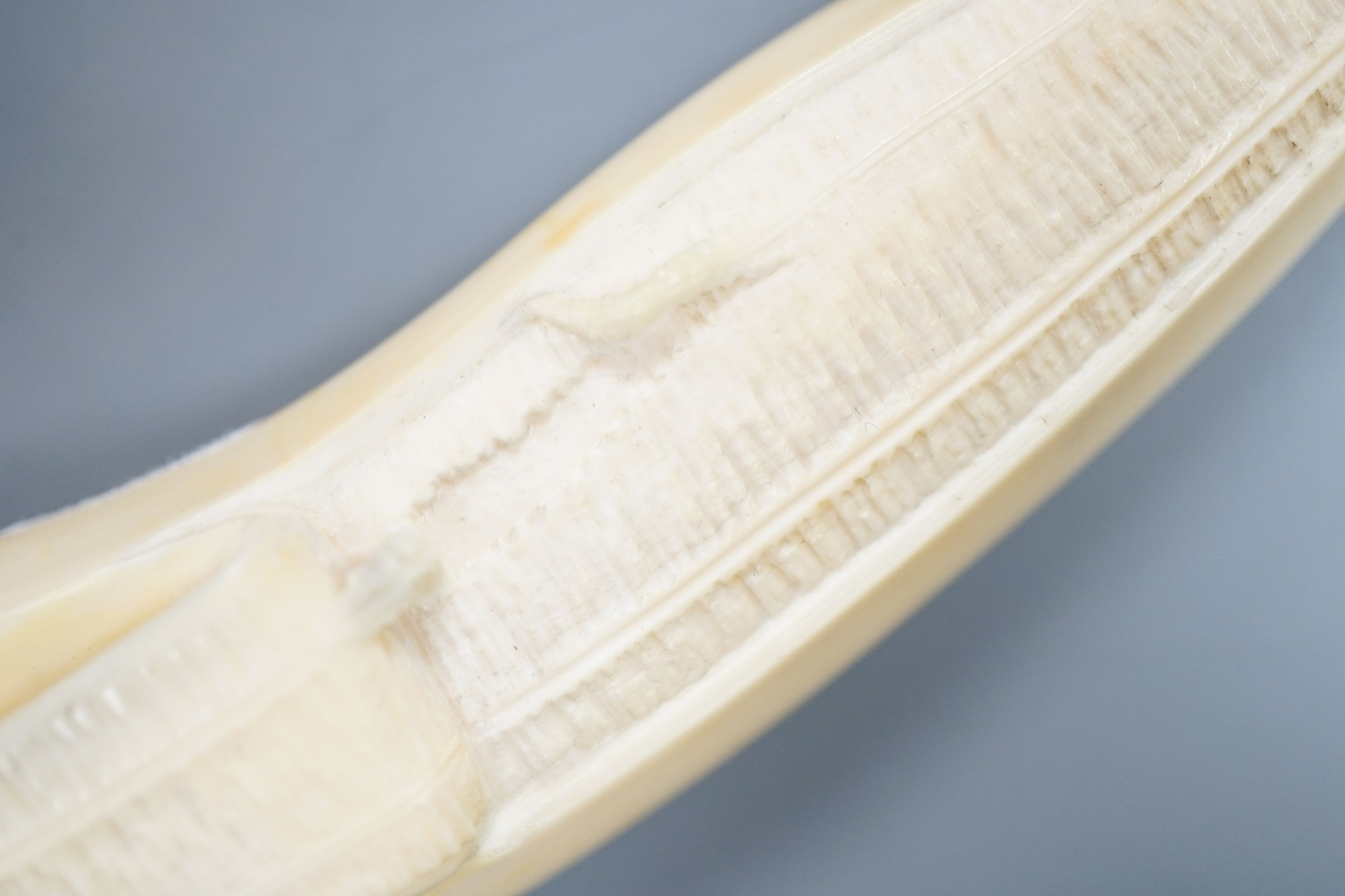A Japanese carved ivory model of a partially peeled banana c.1900, 16cm